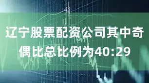 辽宁股票配资公司其中奇偶比总比例为40:29