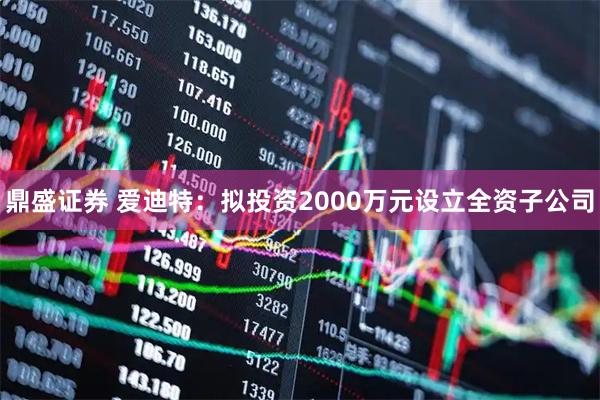 鼎盛证券 爱迪特：拟投资2000万元设立全资子公司